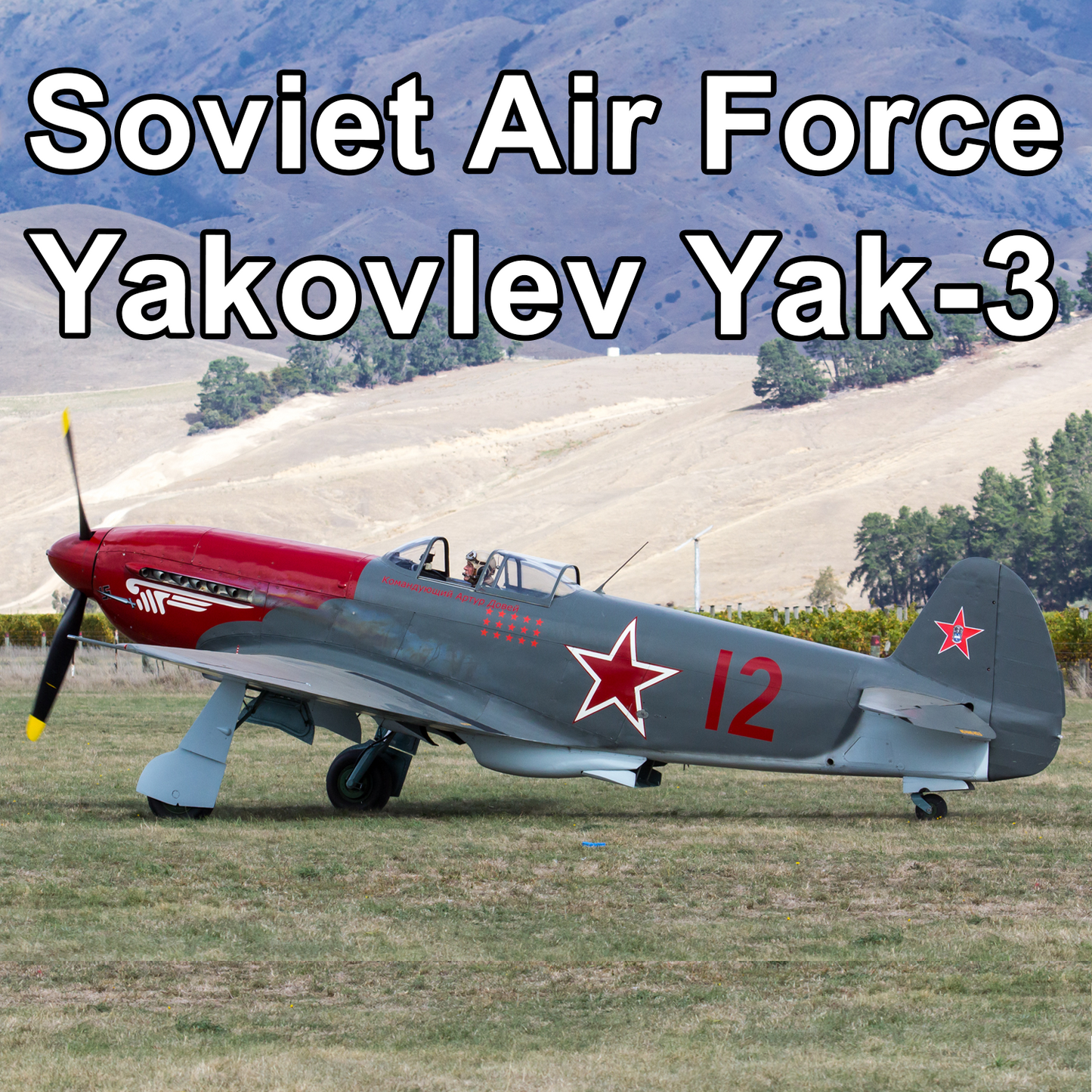 Soviet Air Force Yakovlev Yak-3