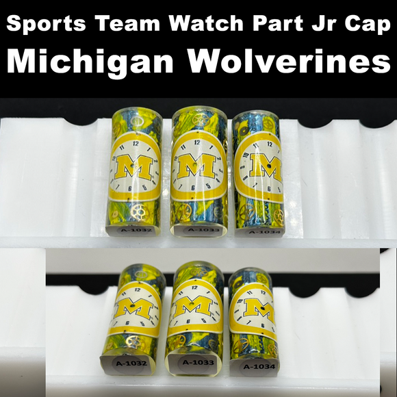 Michigan, University of - Watch Part Jr Cap
