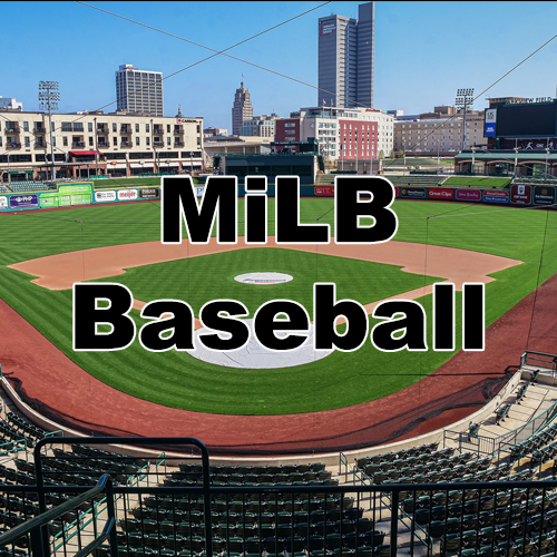 Sports Blanks [All] - MiLB