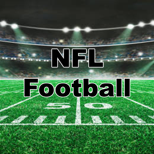 Sports Blanks [All] - NFL