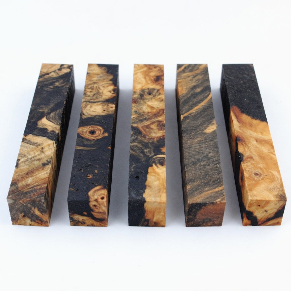 Buckeye Burl [STABILIZED]