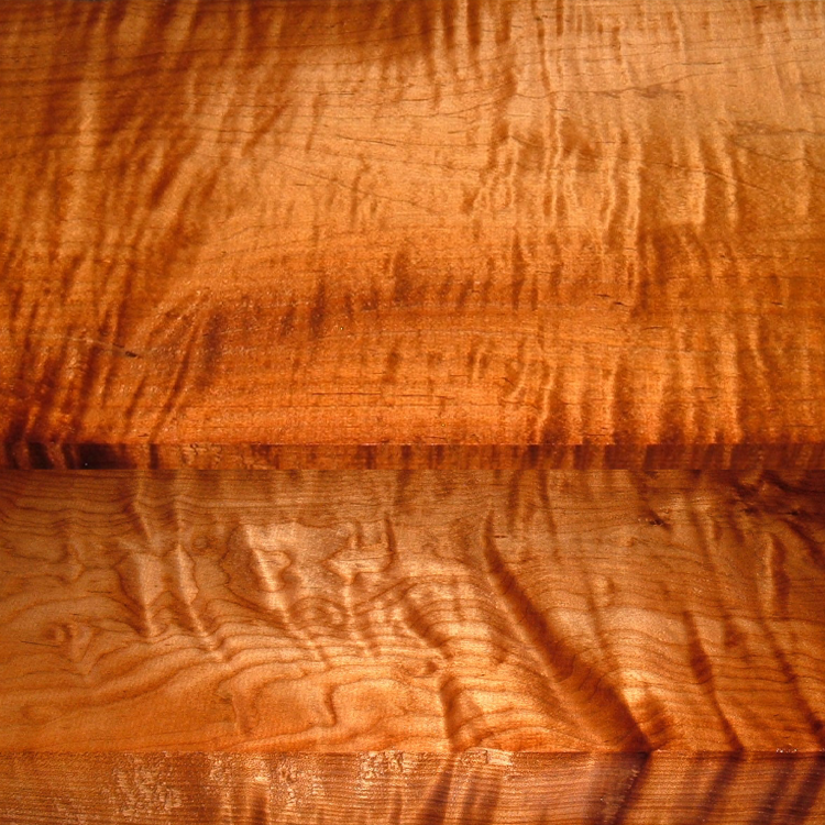 Hard Maple, Curly Torrefied