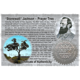 Stonewall Jackson Prayer Tree