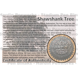 Shawshank Oak Tree