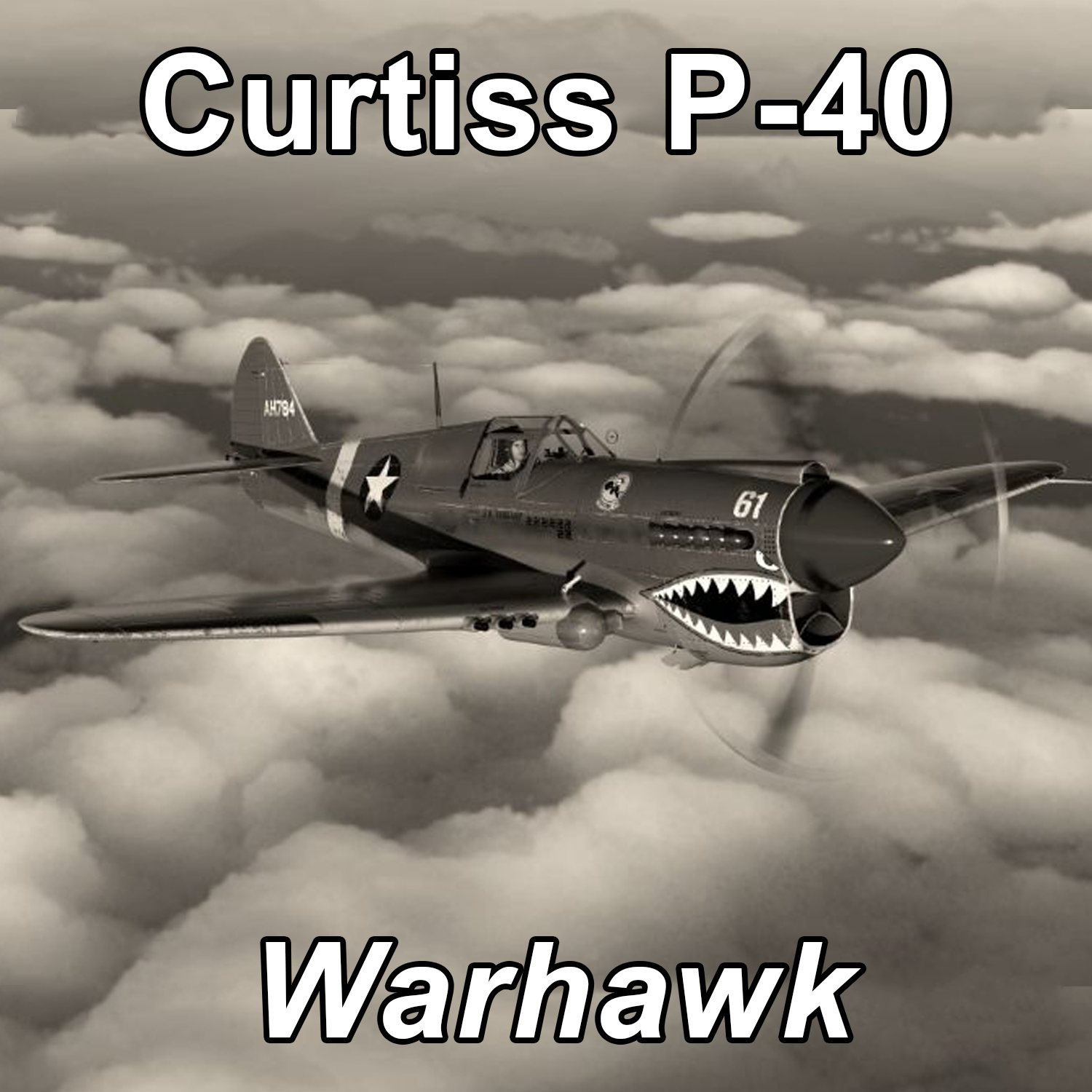 Curtiss P-40 Warhawk