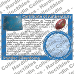 Image of certificate of authenticity for Pontiac Silverdome (Detroit Lions) - front
