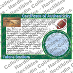 Image of certificate of authenticity for Tulane Stadium (Tulane University) - front