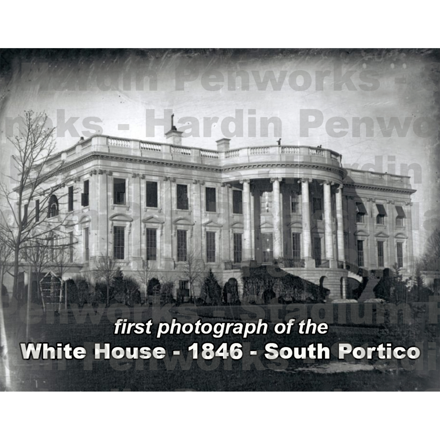 White House – Embedded Pen Blanks