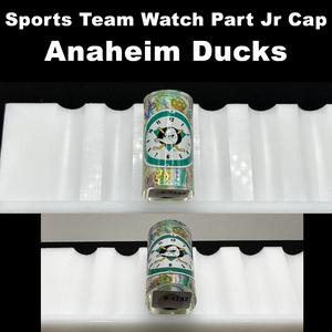 Anaheim Ducks - Watch Part Jr Cap