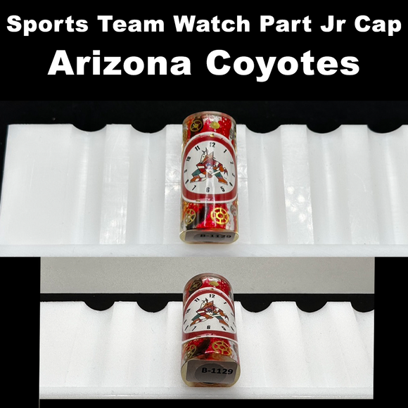 Arizona Coyotes - Watch Part Jr Cap