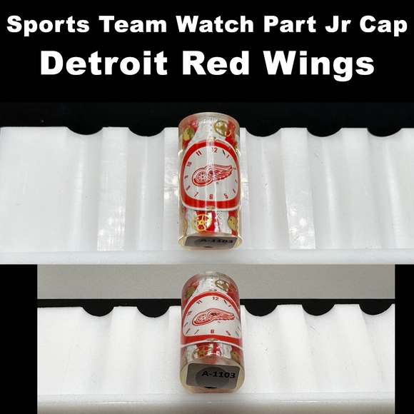 Detroit Red Wings - Watch Part Jr Cap