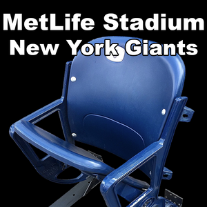 MetLife Stadium (New York Giants)