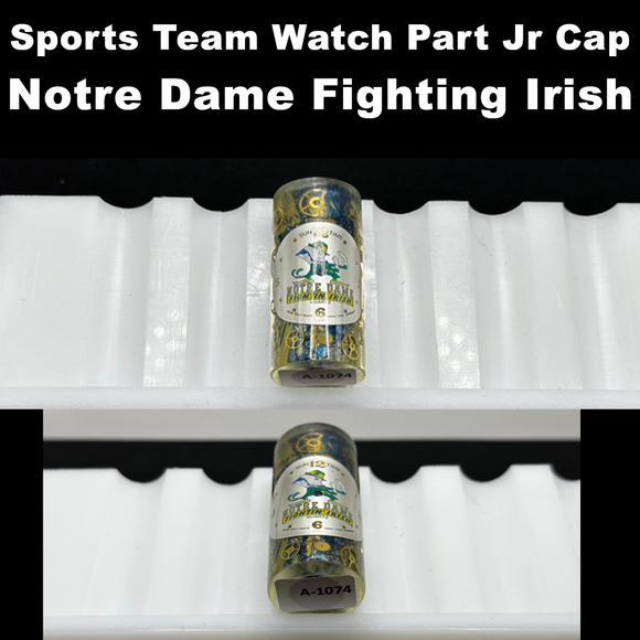 Notre Dame Fighting Irish - Watch Part Jr Cap