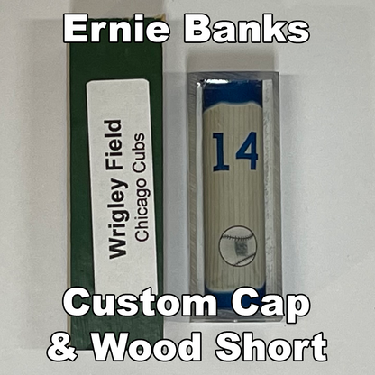 Banks, Ernie #14 - Game Played Relic