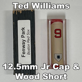 Williams, Ted #9 - Game Played Relic