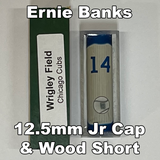 Banks, Ernie #14 - Game Played Relic