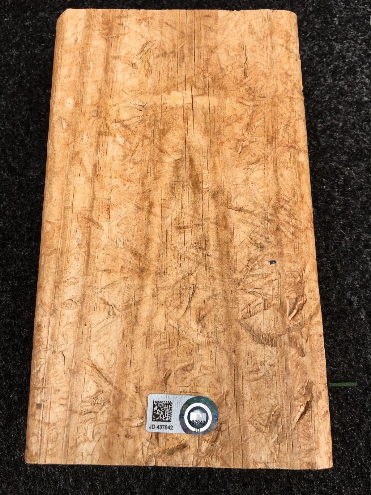 Minute Maid Park (Houston Astros)